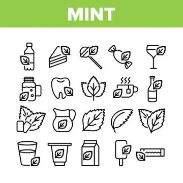 Mint Refreshing Leaf Collection Icons Set Vector Illustrazione stock