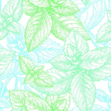 Mint seamless pattern. Stock Illustration