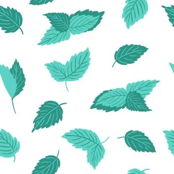 Mint seamless vector pattern Stock Illustration