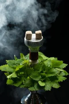 Mint smoking hookah Stock Photos