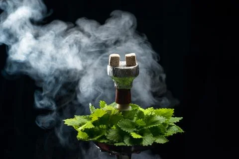 Mint smoking hookah Stock Photos