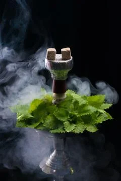 Mint smoking hookah Stock Photos