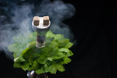 Mint smoking hookah Stock Photos