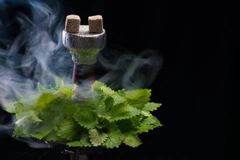 Mint smoking hookah Stock Photos