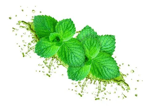 Mint splash Foto stock