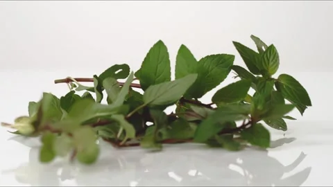Mint Sprigs Bouncing Slow Motion White Tabletop Closeup Macro Food Studio Stock Footage 335005288