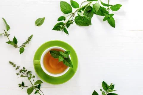 Mint tea background with a space for a text Stock Photos