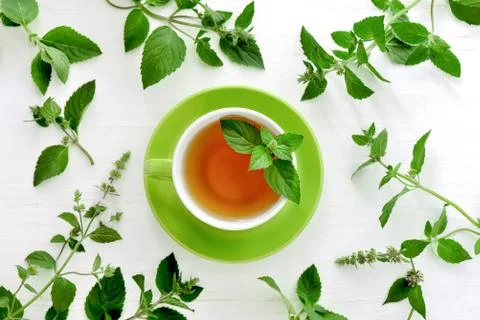 Mint tea background with a space for a text Stock Photos