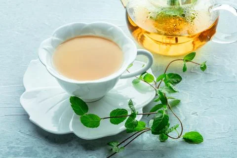 Mint tea. A cup of peppermint tea with fresh mint leaves and a tea pot 스톡 사진