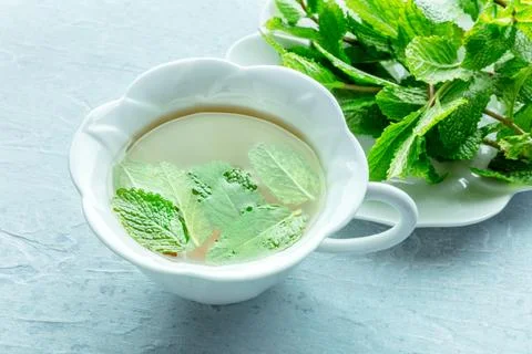 Mint tea. A cup of peppermint tea with fresh mint leaves 写真素材
