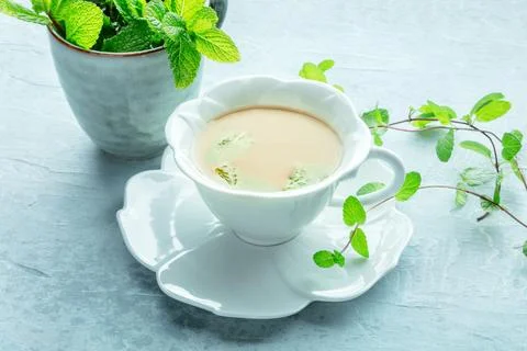 Mint tea. A cup of peppermint tea with fresh mint leaves Stock Photos