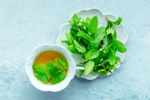 Mint tea. A cup of peppermint tea with fresh mint leaves, overhead 스톡 사진
