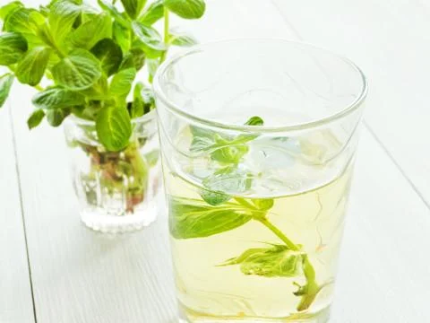 Mint tea in glass Stock Photos