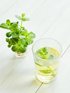Mint tea in glass Stock Photos