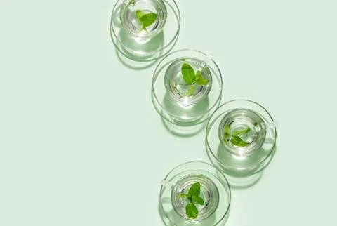 Mint tea minimal concept, copy space for a text Foto stock