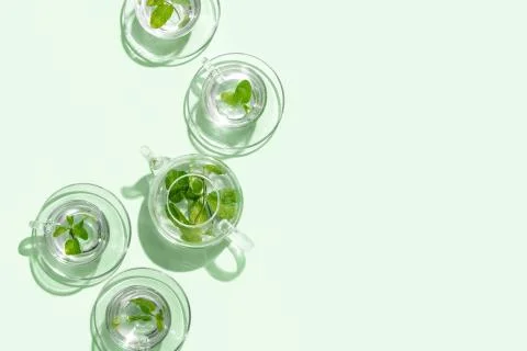 Mint tea minimal concept, copy space for a text Stock Photos