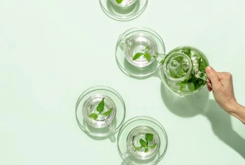 Mint tea minimal concept, copy space for a text Stock Photos
