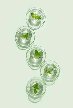 Mint tea minimal concept Stock Photos