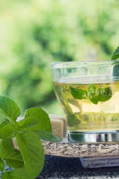 Mint tea Stock Photos