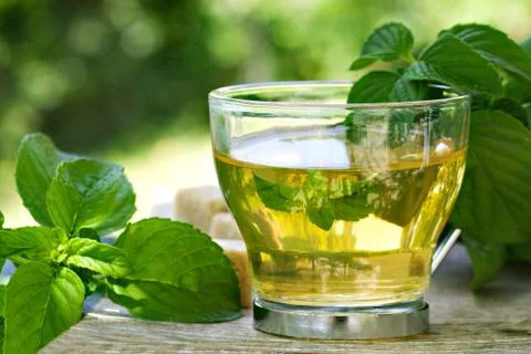 Mint tea Stock Photos