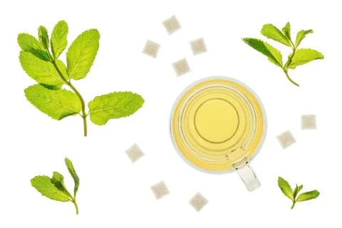 Mint Tea with Sugar Cubes Stock Photos