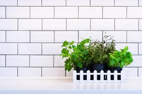 Mint, thyme, basil, parsley - aromatic kitchen herbs in white wooden crate on Stock Photos