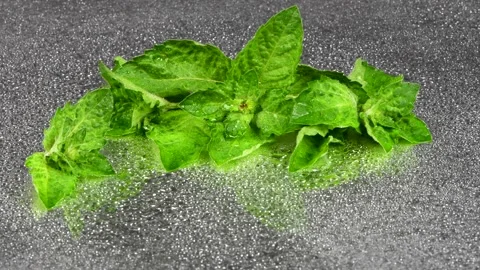 Mint with water drops. Fresh mint leafs on mirror. Stock Footage 161065330