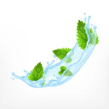Mint with water splash Stock Illustration