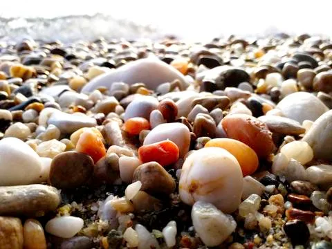 Minuscule seashore landscape Stock Photos