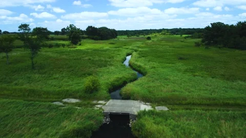 Minute long flyover of small winding stream in grassy field in rural Wisconsin Video stock 159023174