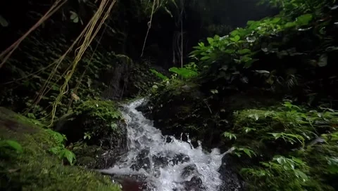 A minute with natureFlowing River Vídeo Stock 256856269