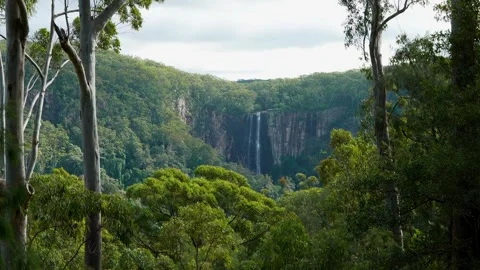 Minyon Falls In Distance Through Trees Stock Footage 286296693