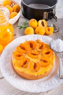 Mirabelle cake Stock Photos