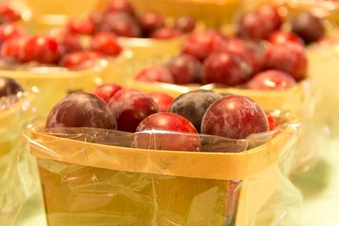 Mirabelle plums Stock Photos