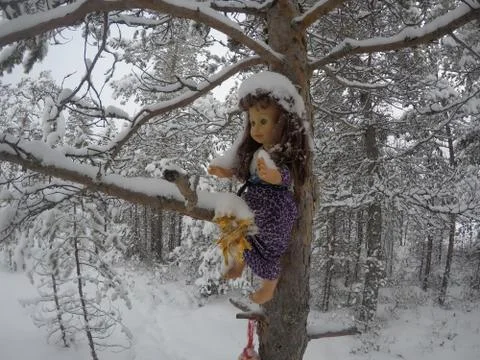 Miracle in the forest Foto stock