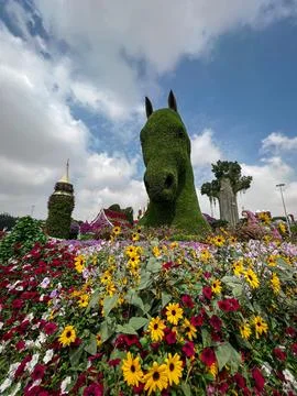 Miracle garden Stock Photos