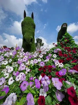Miracle garden Stock Photos