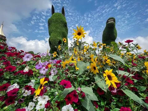 Miracle garden Stock Photos