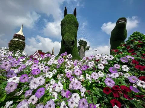 Miracle garden Stock Photos