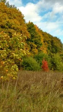 Miracle Stock Photos