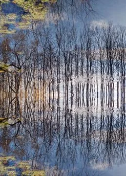 Miracle of reflection Stock Photos