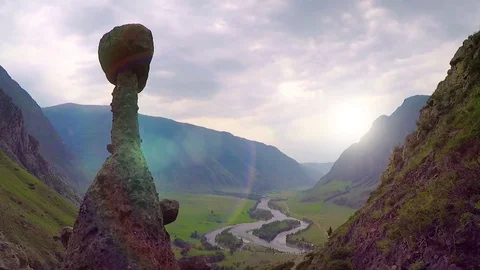 Miracle Stone Mushrooms Montage, Panorama Stock Footage 79621853