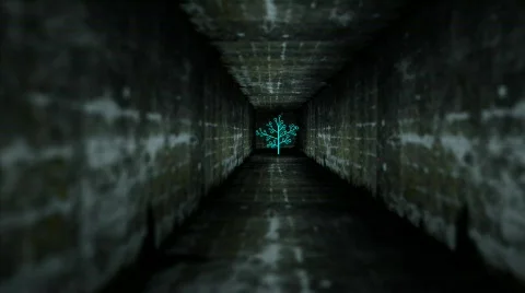 Miracle tree Stock Footage 715653