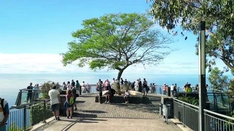 Miradouro Cabo Girao Stock Footage 232915846