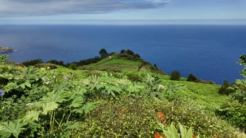 Miradouro da Eira da Achada on a summer morning, Madeira island, Portugal. 스톡 동영상 301394517