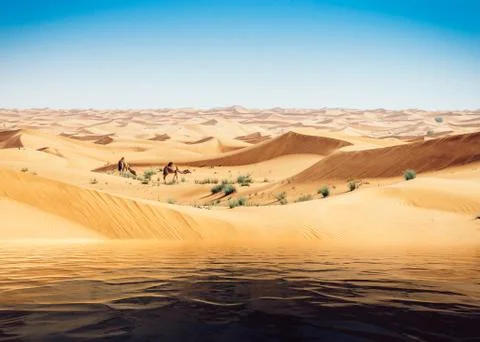 Mirage of the water in the Arabian desert. Camels in background Stock Photos