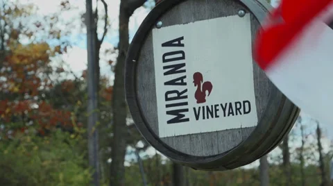Miranda Vineyard (8 of 8) Stock-Footage 33908046