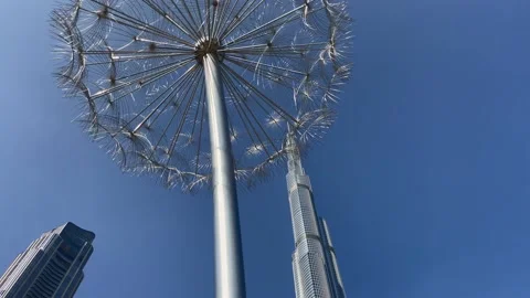 Mirek Struzik's elegant installation called Dandelions Located in Dubai, United Stock Footage 234076306