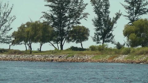 Miri Marina Stock Footage 107639692