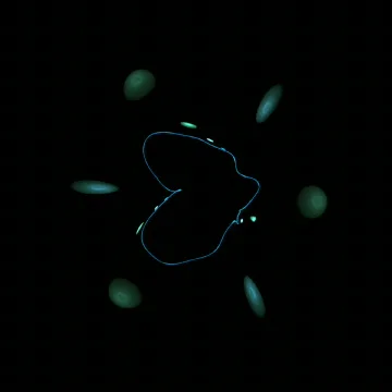 Miro Stock Footage 863999